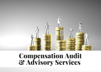 Compensation Audit and Advisory Services