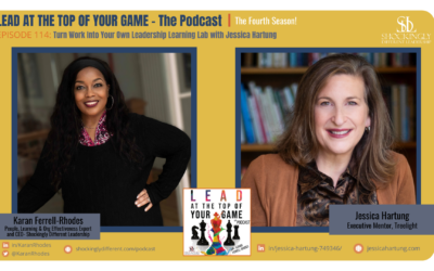 Episode 114 | Turn Work Into Your Own Leadership Learning Lab with Jessica Hartung