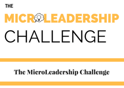 The MicroLeadership Challenge