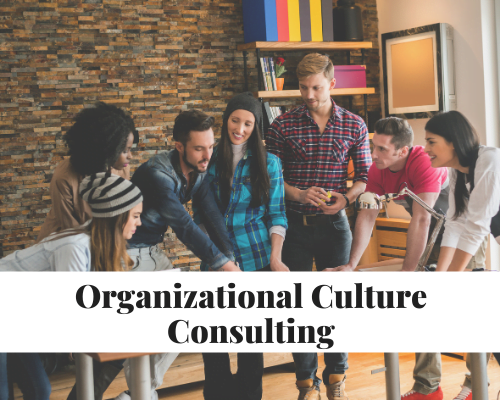 Organizational Culture Consulting