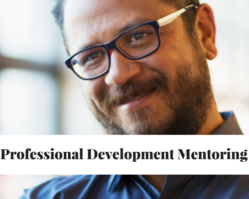 Professional Development Mentoring