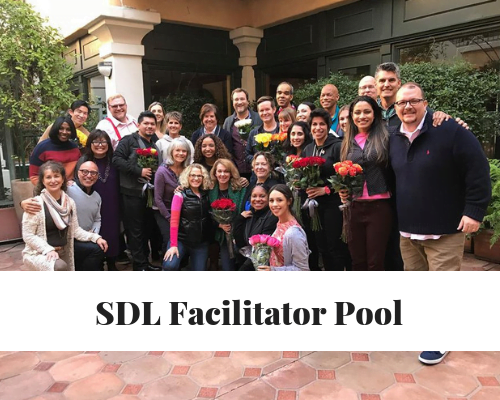 Workshop Facilitator Pool